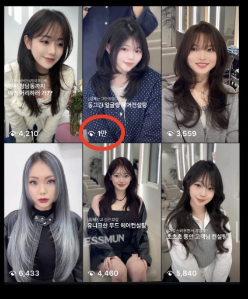 방향을 잡기 전 피드 — 조회수 4천~1만
